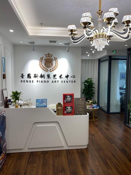 琴韵悠扬，心灵栖息——我眼中的艺术琴星乐馆